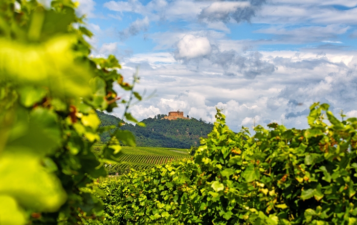 Hambacher Schloss 