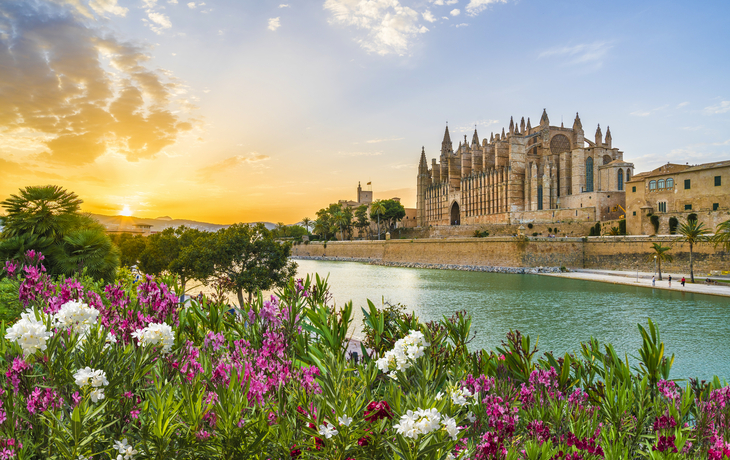 Kathedrale Palma 