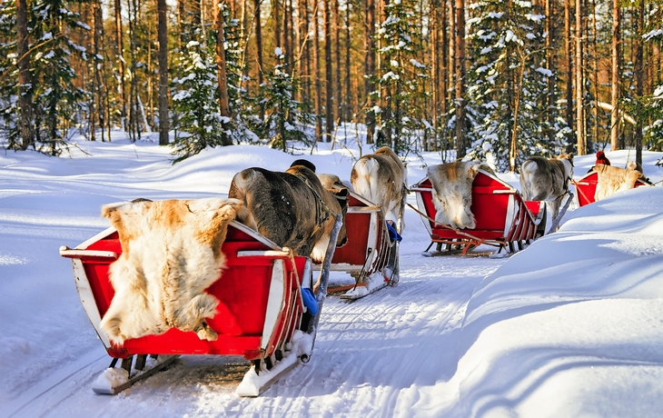 Menschen auf Rentier Schlitten Wohnwagen im Winter Wald in Rovaniemi