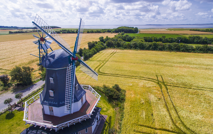 Windmühle von Borgsum