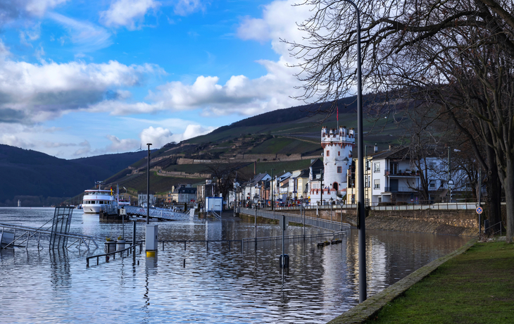 Blick entlang des Flussufers nach Rüdesheim am Rhein