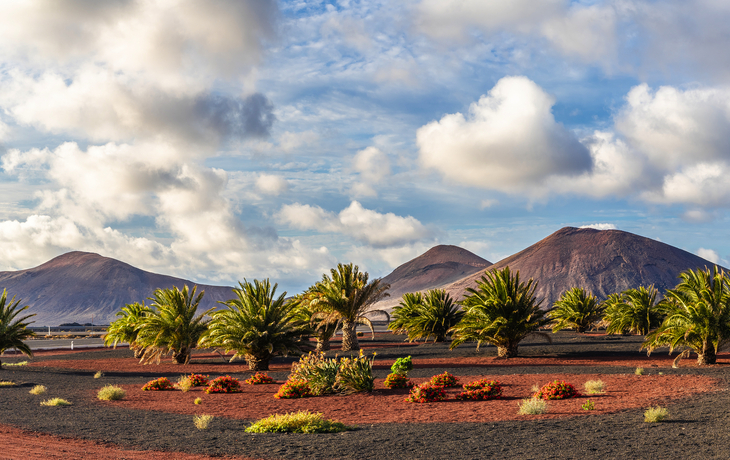 Nationalpark Timanfaya