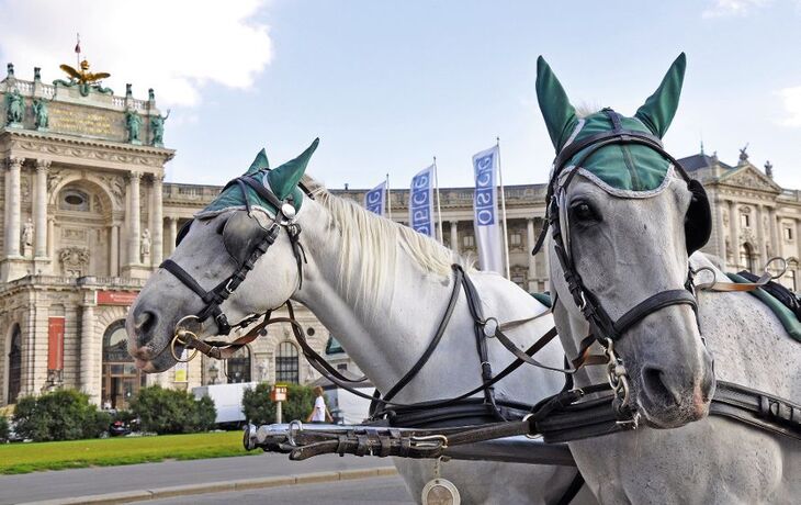 Fiaker vor Hofburg in Wien