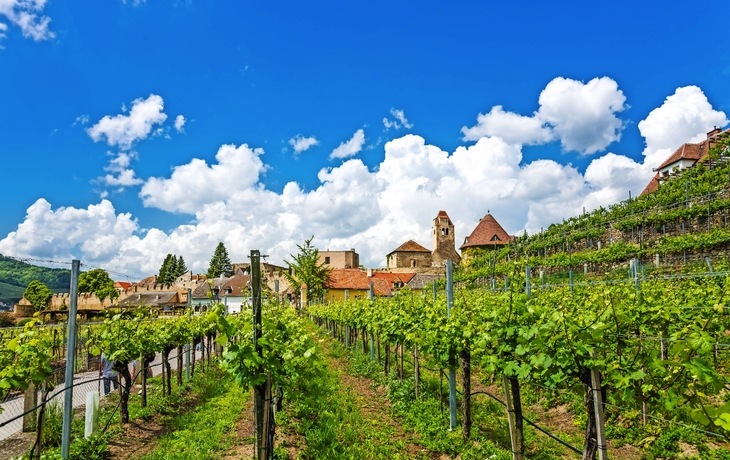 Dürnstein in der Wachau