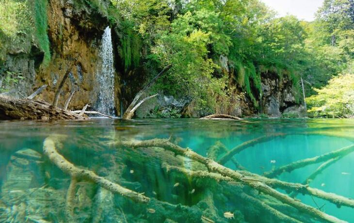 Wasserfall mit Unterwasserfauna