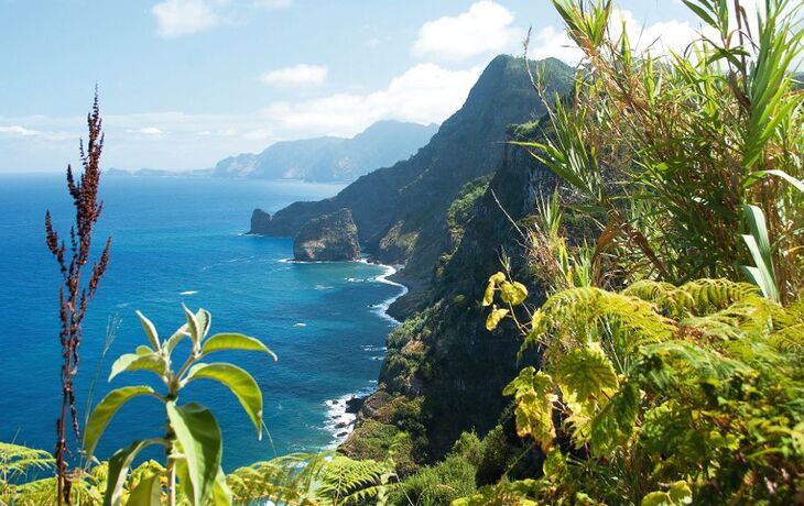 Madeira, Nordostküste in der Nähe von Santana