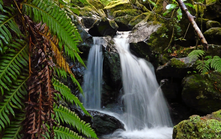 Wasserfall Madeira